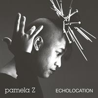 Freedom To Spend Echolocation - Pamela Z