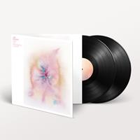 Domino Music For Psychedelic Therapy - Jon Hopkins
