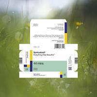 Bella Union Everything Was Beautiful - Spiritualized