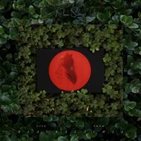 Tuntum Live From Blackalachia - Moses Sumney