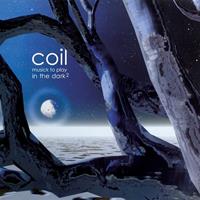 Daisy Discs Musick To Play In The Dark 2 - Coil