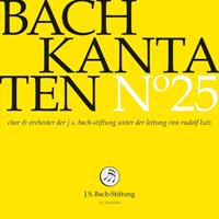 J.S. Bach-Stiftung Bach Kantaten No.25 - Chor Und Orchester Der J.s. Bach