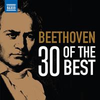 Naxos 30 Of The Best - Boris Giltburg - Jen? Jando - Ri
