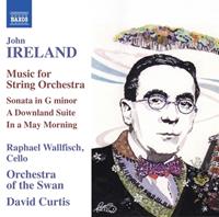 Naxos Music For String Orchestra - Orchestra Of The Swan/curtis-dav