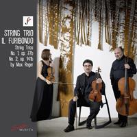 Solo Musica Reger: String Trios, Op. 77b & Op. 141b - Il Furibondo