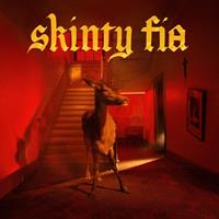 Labels P Partisan Record Skinty Fia - Fontaines D.c.