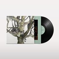 Labels B Bella Union Labyrinthitis - Destroyer