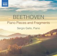 Naxos Piano Pieces And Fragments - David Zinman