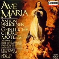 Capriccio Ave Maria - Sergi Berliner Philharmoniker