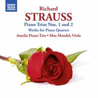 Naxos R.Strauss: Piano Trios 1+2 - Amelia Piano Trio