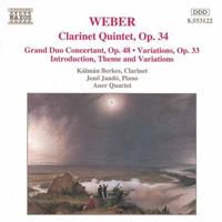 Naxos Clarinet Quintet Op.34 - Bruno Weil