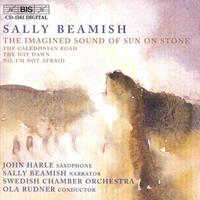 Imagined Sound Of Sun On Stone (The) Stone - John Harle - Swedish Chamber Orc
