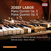 Piano Quartet/Piano Quintet - Nina Karmon - Pauline Sachse