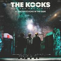 Lonely Cat 10 Tracks To Echo In The Dark - Kooks