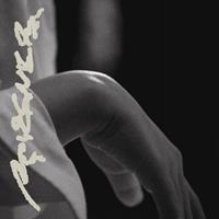 Panamerican Tissues - Pan Daijing