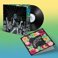 Domino World Wide Pop - Superorganism