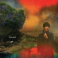 Jagjaguwar We've Been Going About This All Wrong - Sharon Van Etten