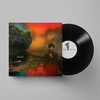Jagjaguwar We've Been Going About This All Wrong - Sharon Van Etten