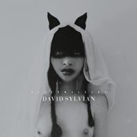 P-Vine Sleepwalkers - David Sylvian