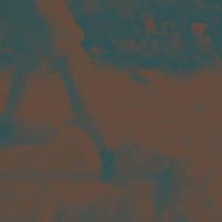 Felte Ritual Howls (Deluxe / Amber Stone) - Ritual Howls