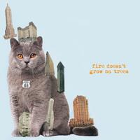 Cargo Uk Fire Doesn't Grow On Trees - Brian Jonestown Massacre