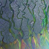 Infectious Music An Awesome Wave - Alt-j