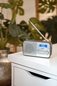 Camry »CR 1179« Digitalradio (DAB) (tragbares Radio DAB/DAB+ Funktion FM-Radio-Funktion LCD-Anzeige, Wecker, grau-schwarz)