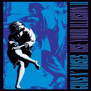 Universal Vertrieb - A Divisio / Geffen Use Your Illusion Ii (U.S.Stand Alone 2lp)