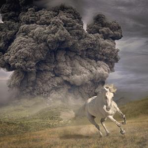Snakefarm Year Of The Dark Horse - The White Buffalo