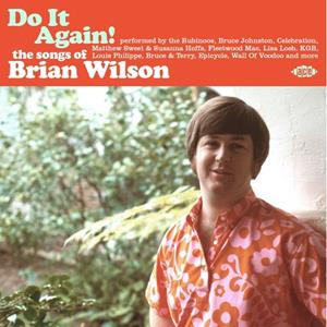 ACE Do It Again! The Songs Of Brian Wilson - V/a (various Artists)