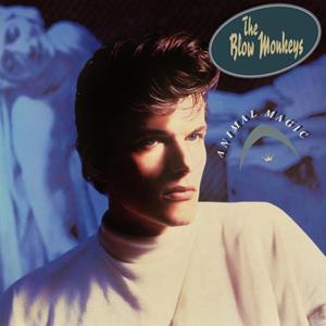 BMG Animal Magic - Blow Monkeys