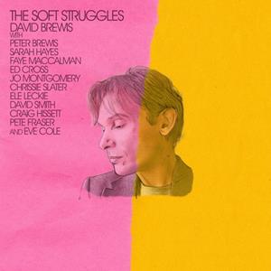 Daylight Saving Records The Soft Struggles - David Brewis
