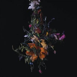 Thrill Jockey Nature Morte - Big Brave
