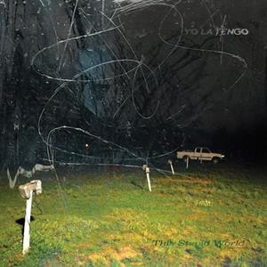 Matador This Stupid World - Yo La Tengo