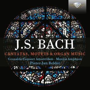 Brilliant Classics J.S. Bach: Cantatas, Motets & Organ Music - Pieter-jan Belder