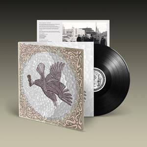 Domino The Great White Sea Eagle - Orchestra