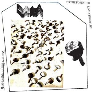 Thrill Jockey To The Forest To Live A Truer Life - Yoshimioizumikiyoshiduo