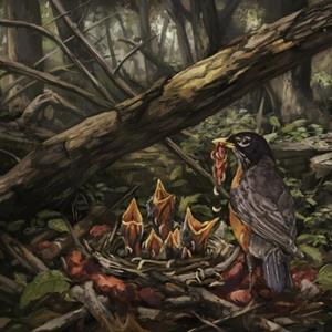 Rise Records Step Into The Light - The Acacia Strain