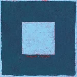 Skylight - Pinegrove