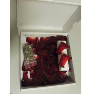 Fiftiesstore BAL-AMI Super 40 Drukknoppen Set Rood