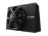 Pioneer TS-WX306B Subwoofer met behuizing