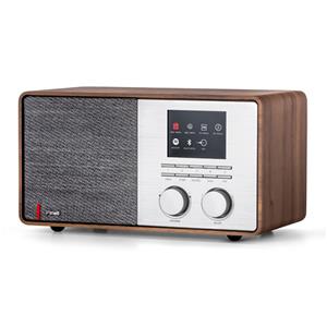 Pinell Supersound 301 DAB radio Bruin