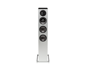Definitive Technology  Demand Series D17 Vloerstaande speaker - zwart