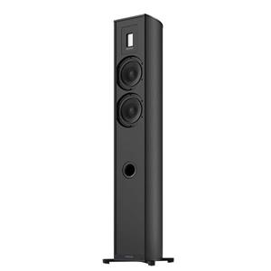 Piega  Premium 701 Vloerstaande Speaker - Geanodiseerd Zwart
