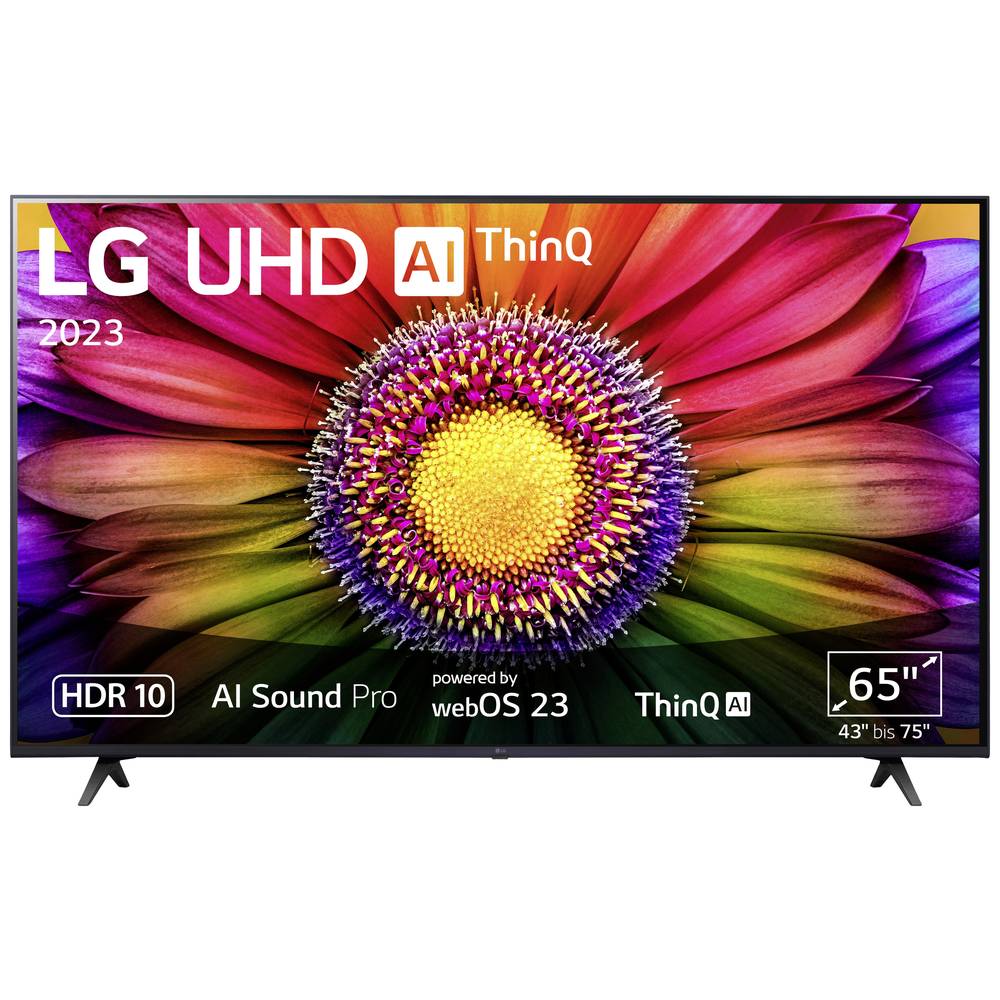 LG Electronics 65UR80006LJ.AEUD LCD-TV 165 cm 65 inch Energielabel F (A - G) CI+*, DVB-C, DVB-S2, DVB-T2, WiFi, UHD, Smart TV Zwart