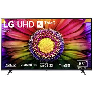 lgelectronics LG Electronics 65UR80006LJ.AEUD LCD-TV 165cm 65 Zoll EEK F (A - G) CI+, DVB-C, DVB-S2, DVB-T2, WLAN,