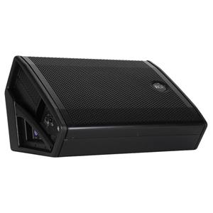 NX 12-SMA actieve vloermonitor 12 inch