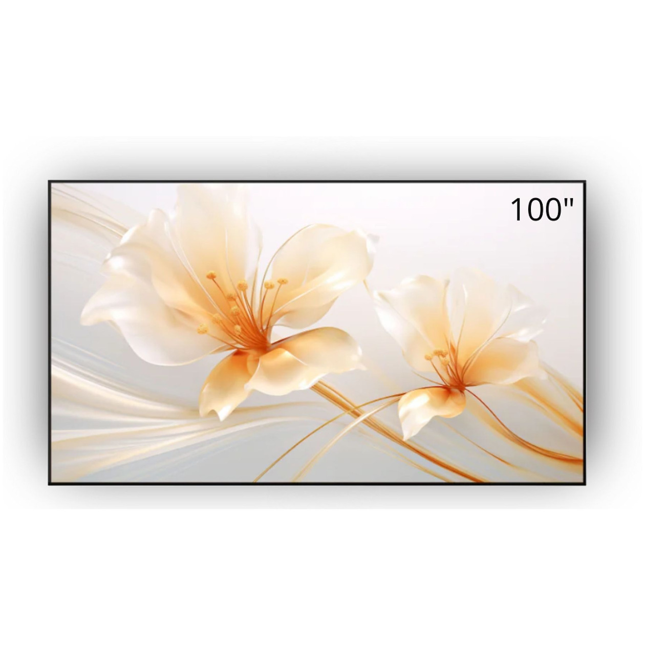 XGIMI Projectorscherm 100 ALR Plooibaar Beamer Wit