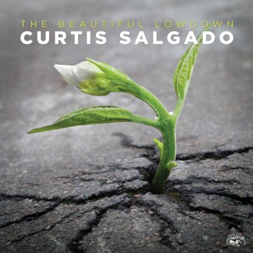 Alligator The Beautiful Lowdown - Curtis Salgado