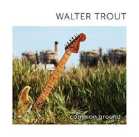 Provogue Common Ground - Walter Trout